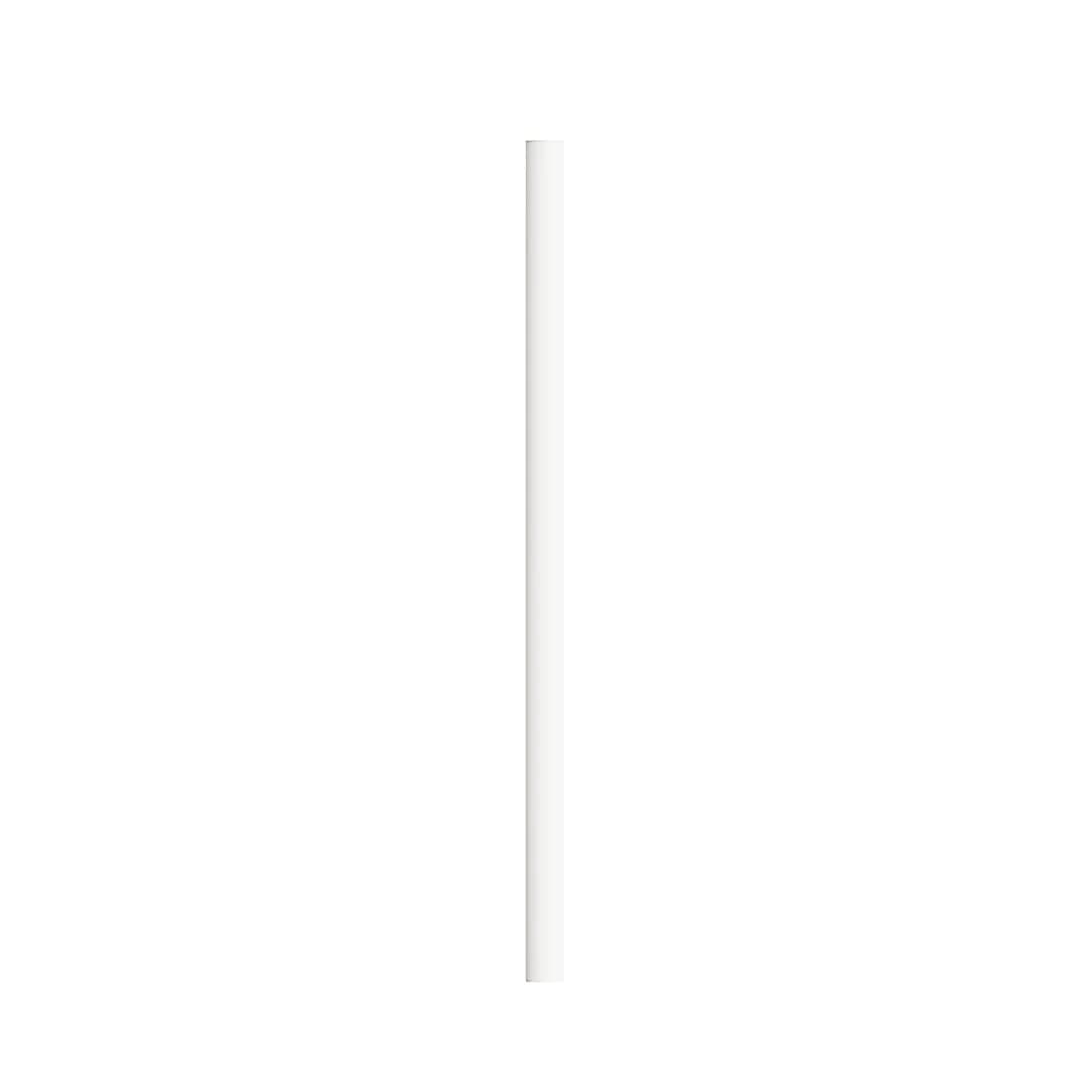BIC® Evolution® Ecolutions® Cut Bleistift