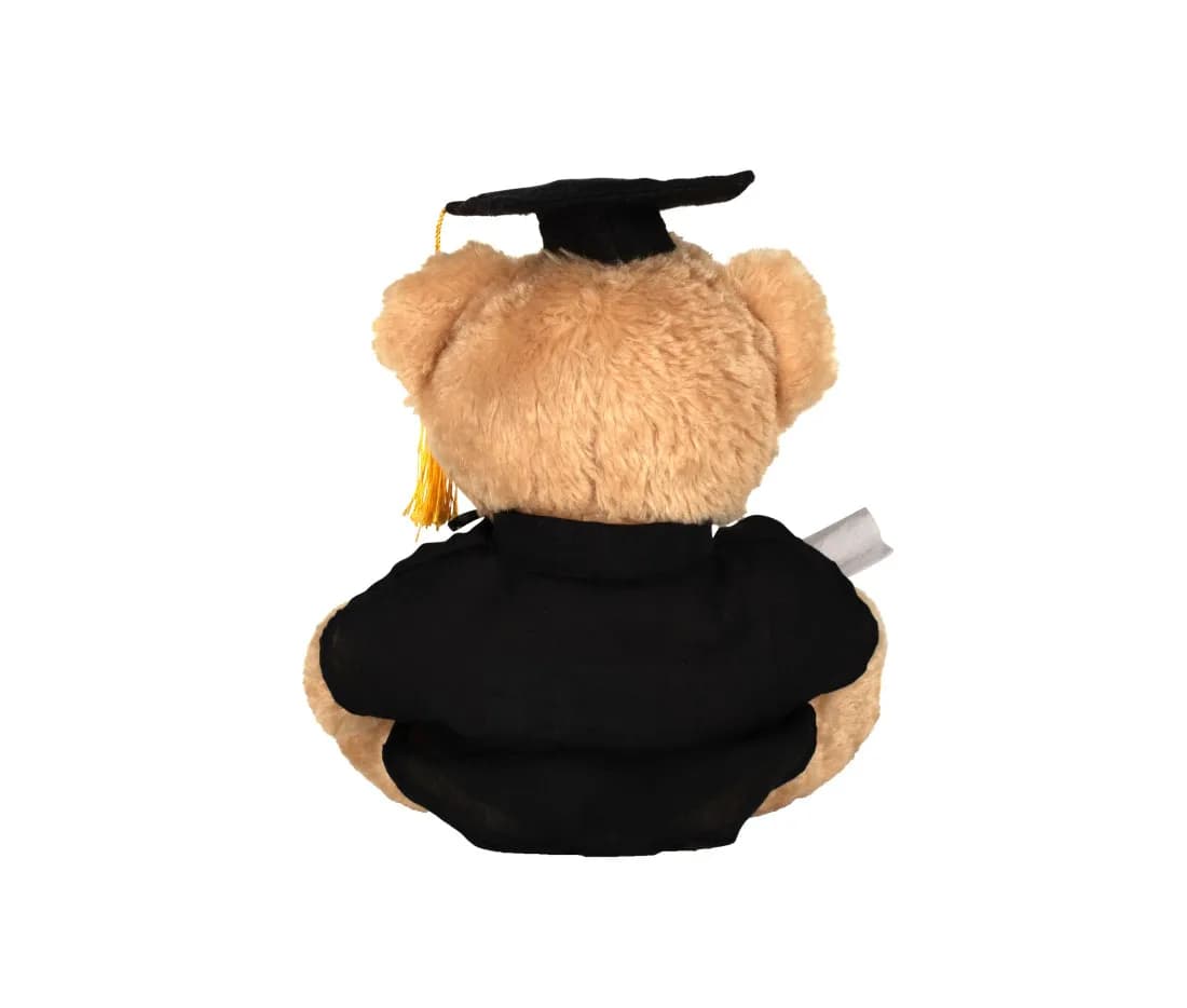 Graduation Bear
