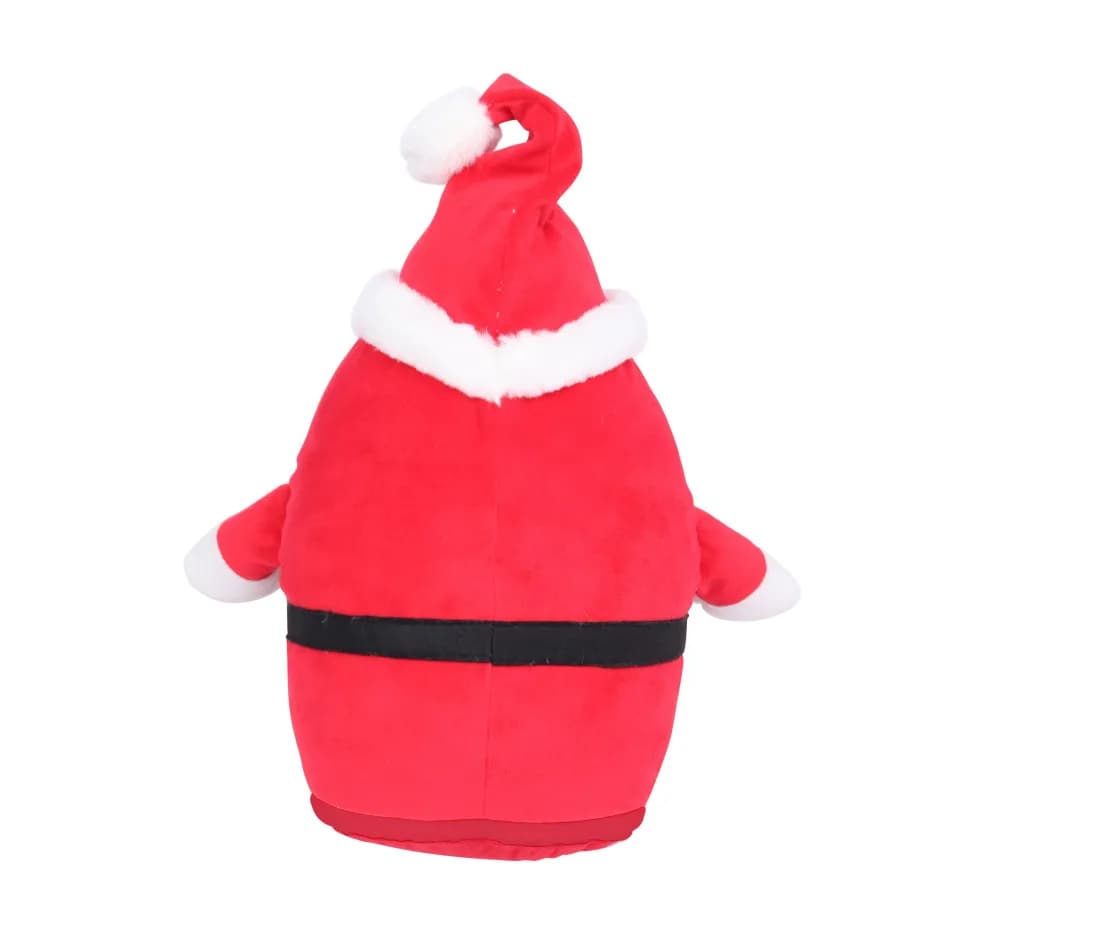 Zippie Father Christmas
