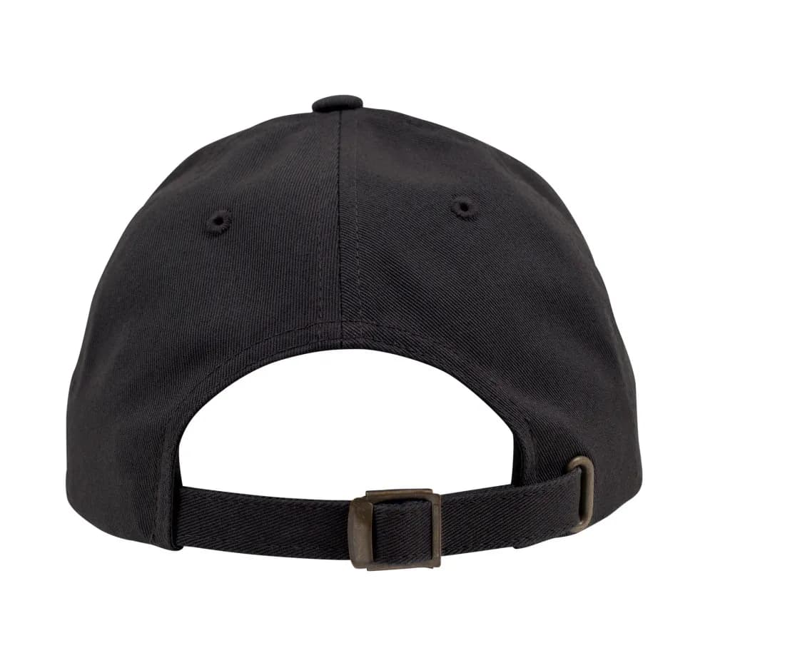 Low Profile 6 Panel Dad Cap