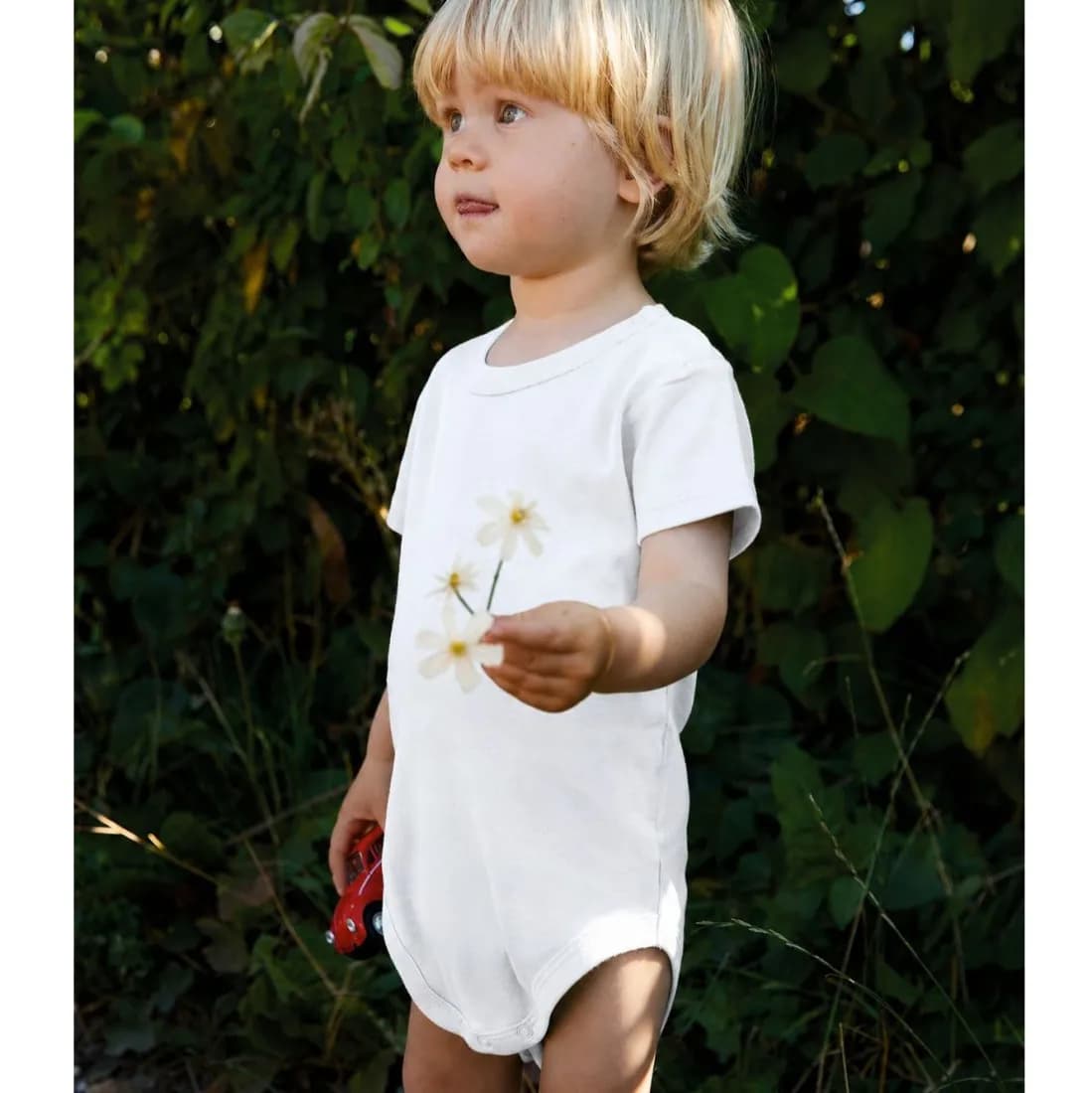 Babies Short Sleeve Bodystockings