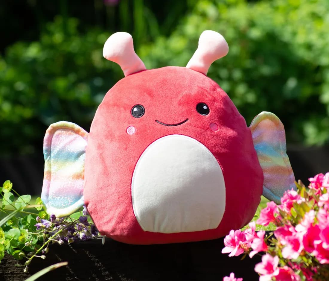 Squidgy Butterfly