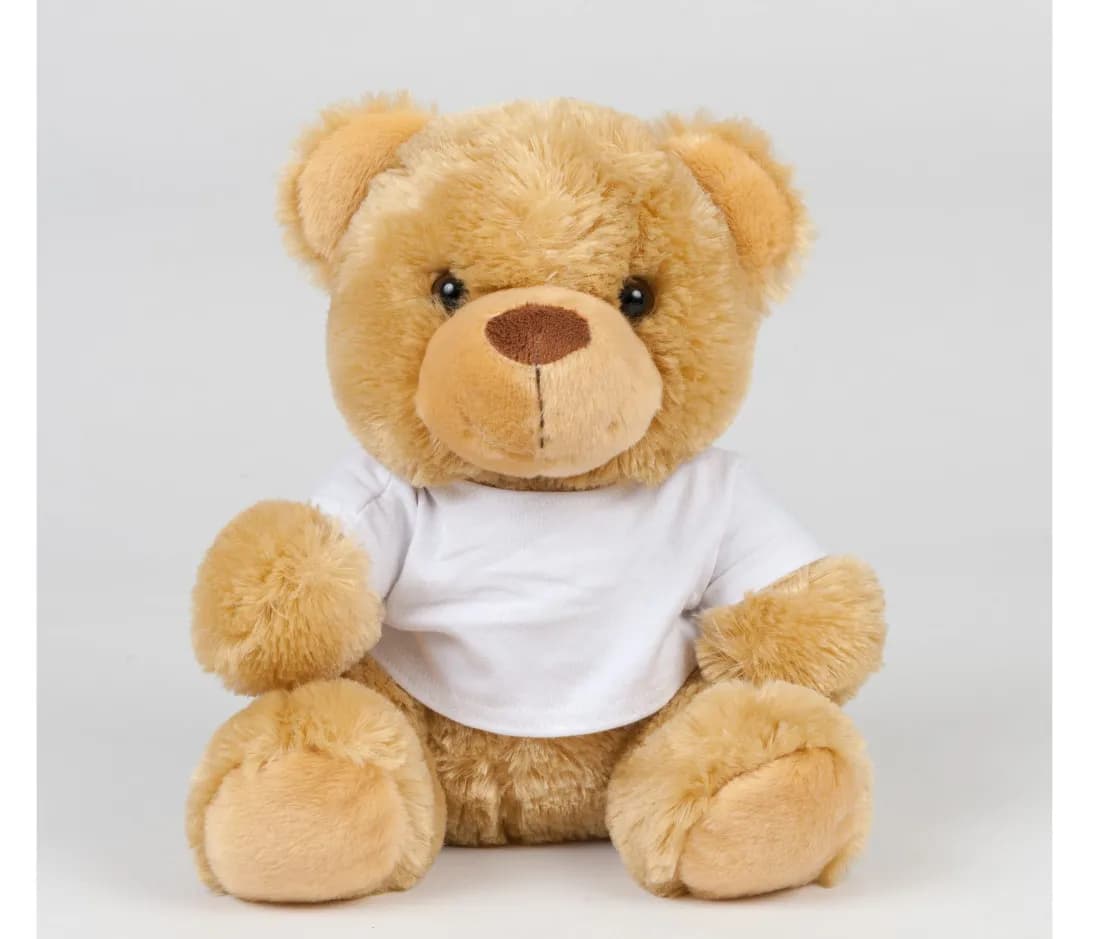 Bear in A T Shirt