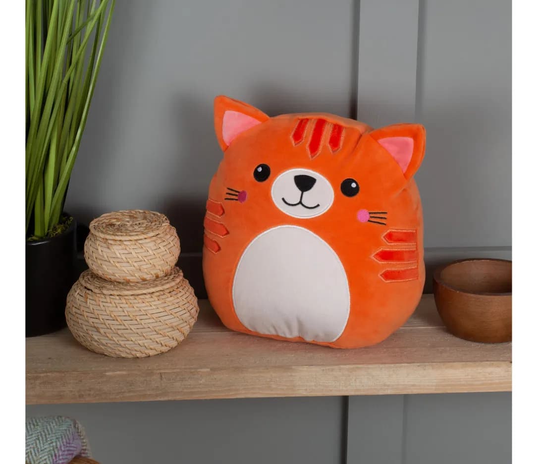 Squidgy Ginger Cat