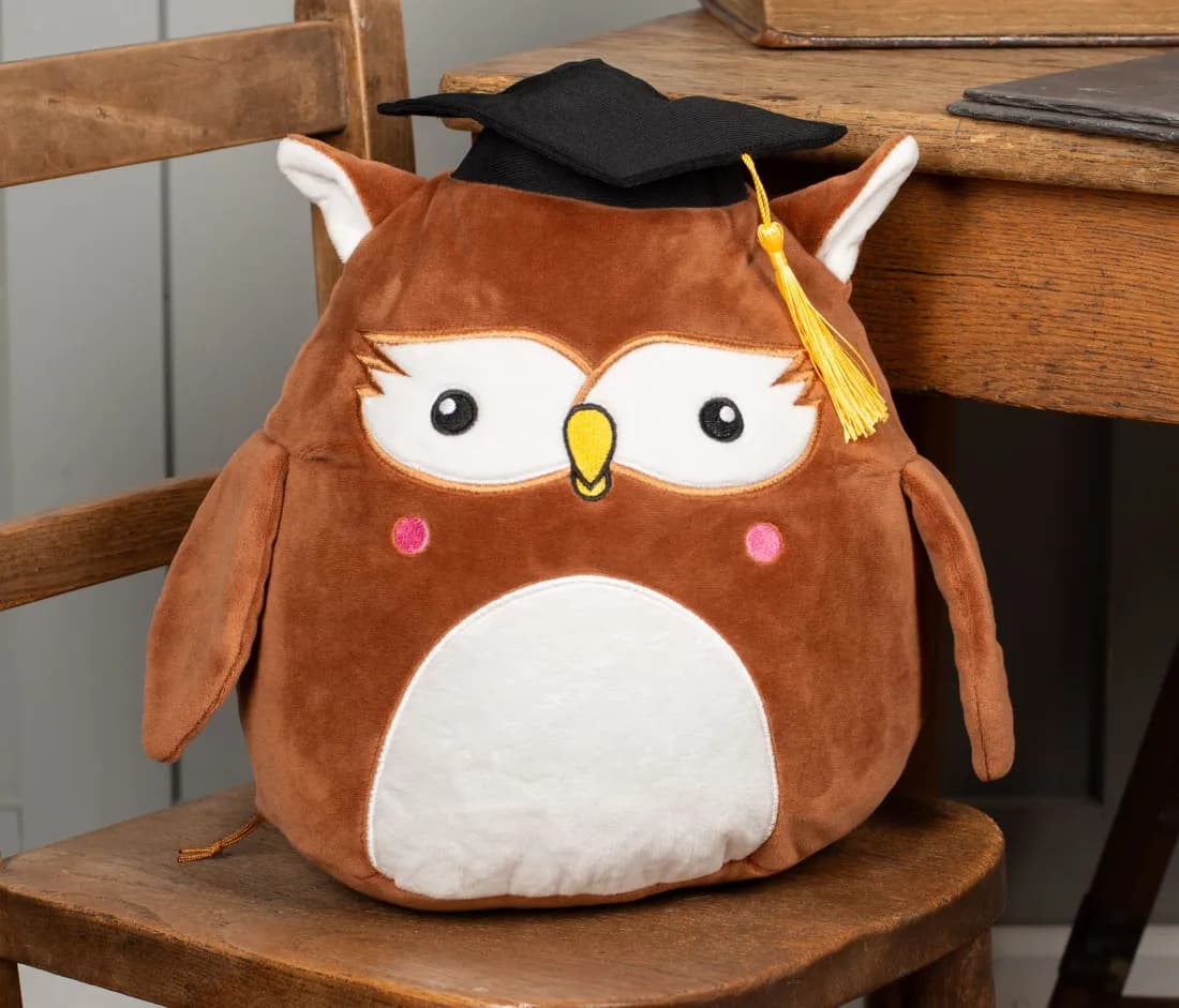 Squidgy Wise Owl