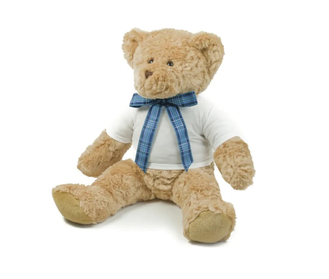 Teddy Tee-Shirt