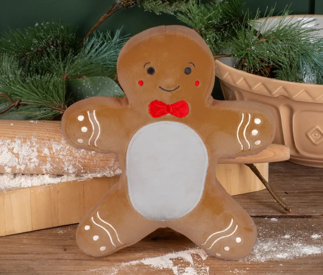 Squidgeme Gingerbread Man