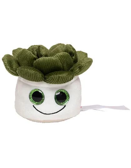 Schmoozies® Evergreenies® Succulent – Multicolour