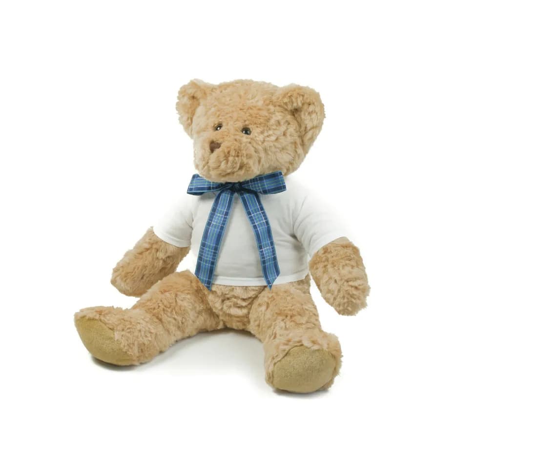 Teddy T-Shirt