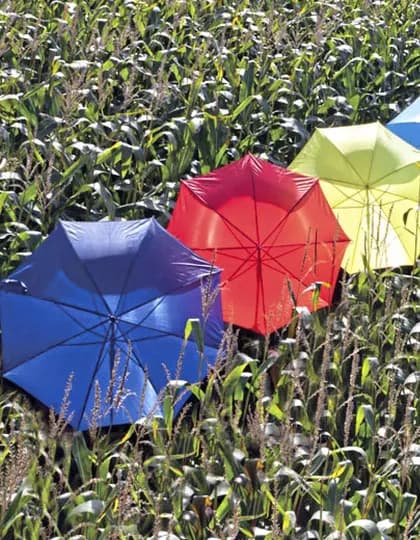 Automatic Umbrella With Wooden Handle