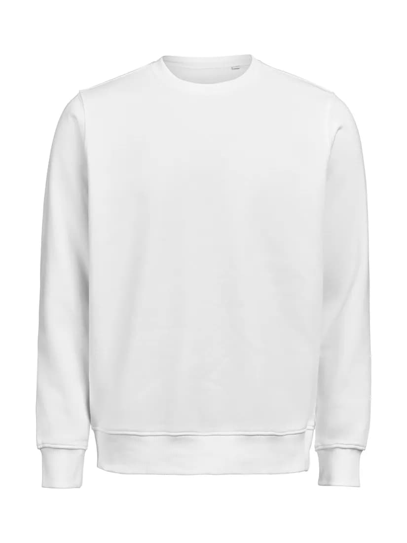 UM Crewneck (OCS-RCS) Regular Fit Unisex