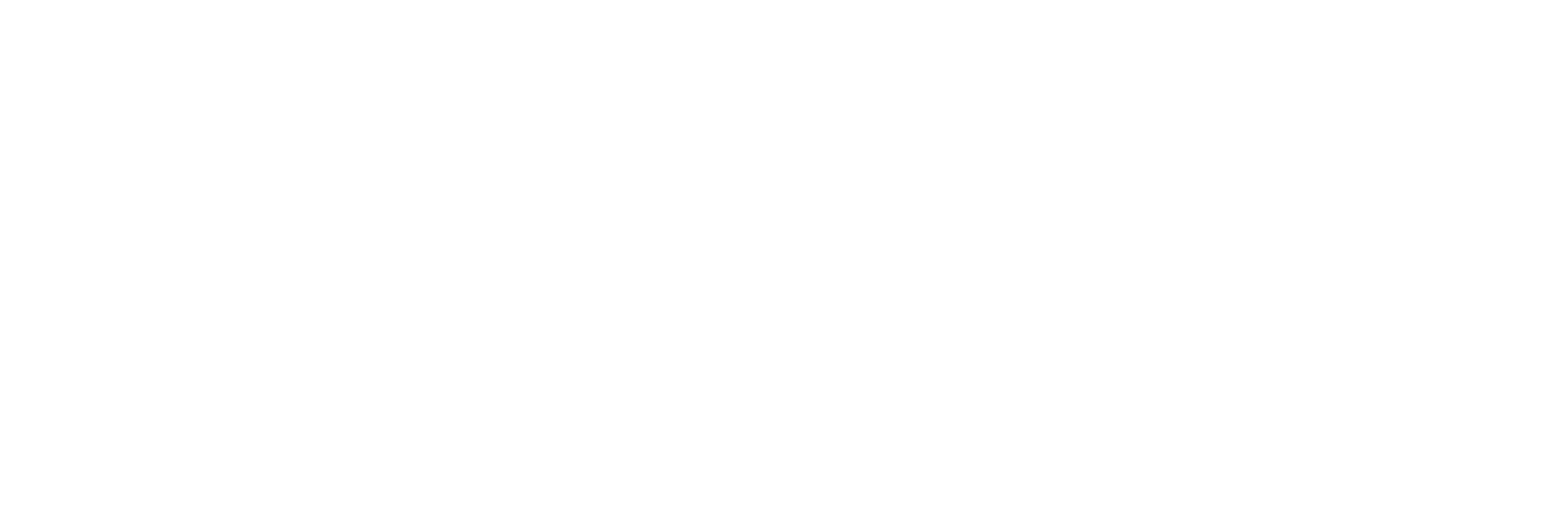 logo anunet 1